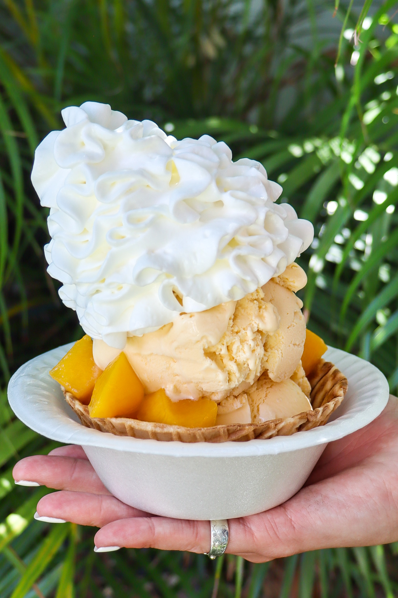 Tropical Mango Sundae Tampa Mango soft serve with whipped cream and peaches