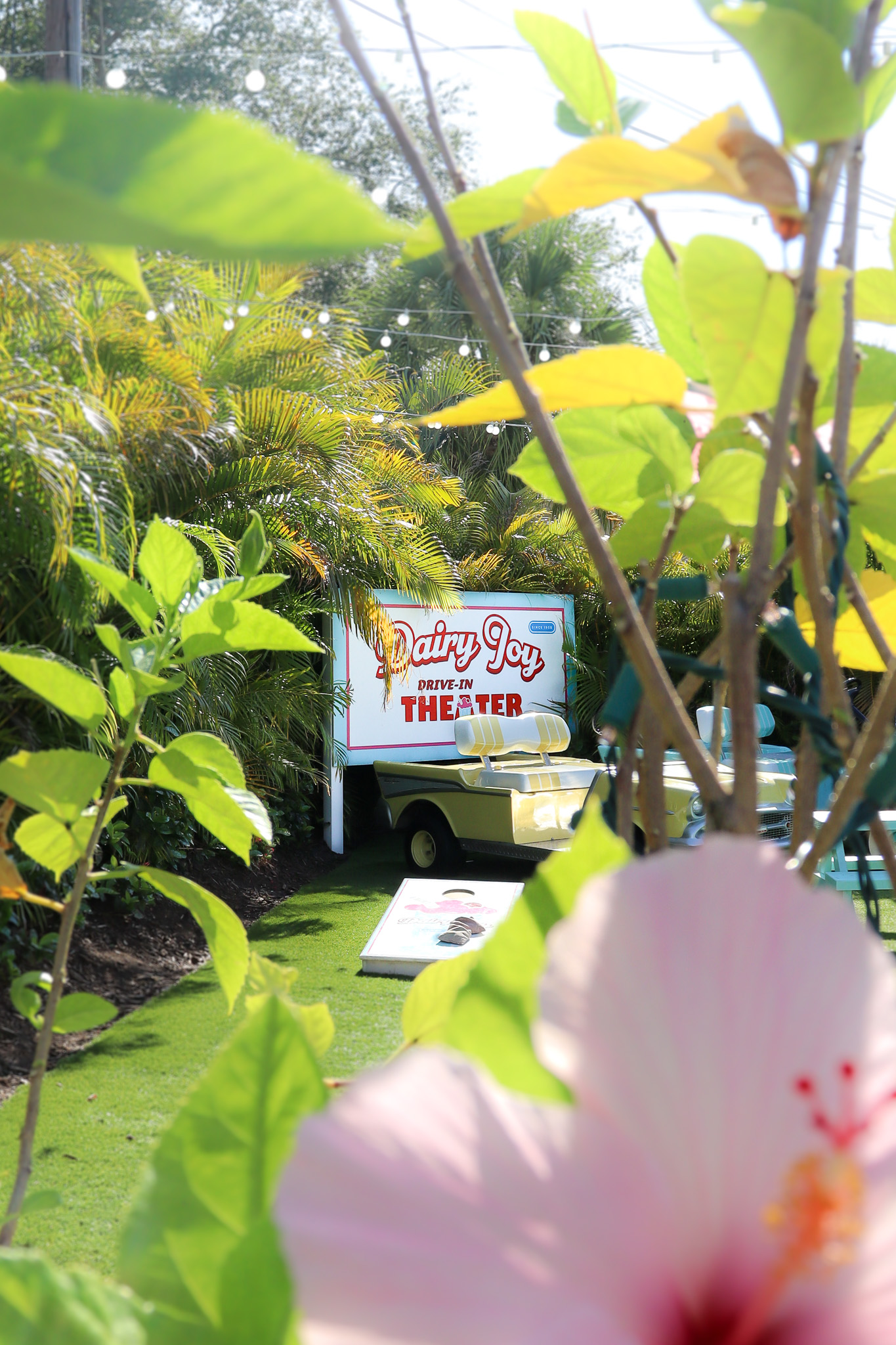 Dairy Joy sign surrounded by plants